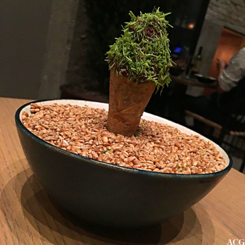 blåbærsorbet med granskudd