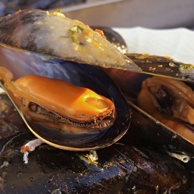 grillede blåskjell med urtesmør