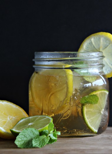 Port tonic aperitiff i et glass med sitronskiver og mynteblader